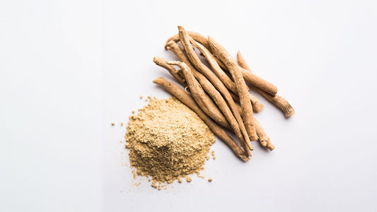 Ashwagandha herb sitting on grey background 